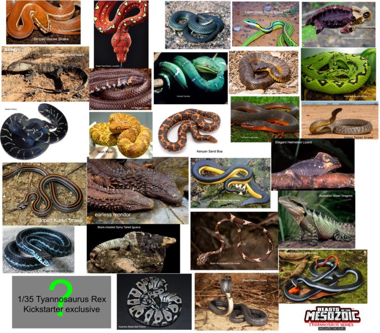 Beasts of the Mesozoic: Tyrannosaur Series – Color Inspiration
