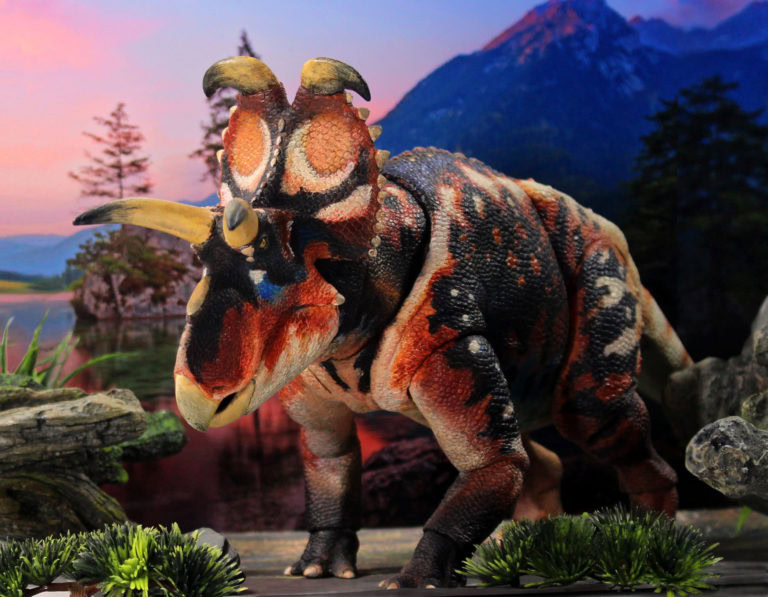Albertaceratops Catalog Photo!