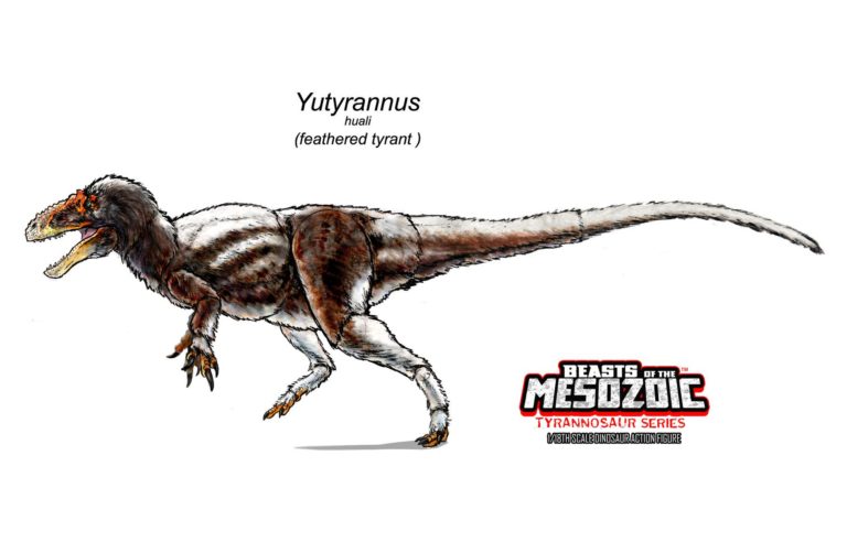 New reveal – Yutyrannus huali!