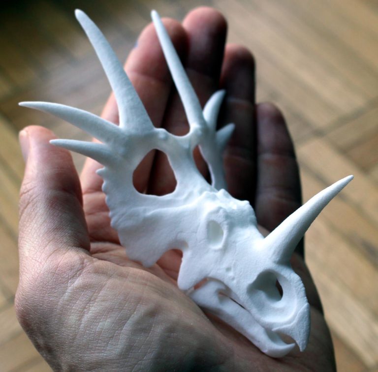 Ceratopsian skulls anyone?