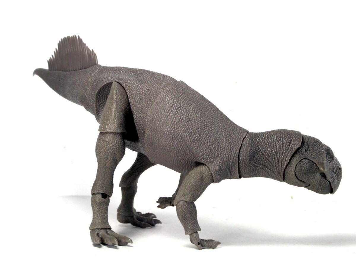 taco10
