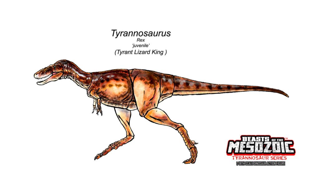 Beasts of the Mesozoic: Tyrannosaur Series color design- juvenile ...