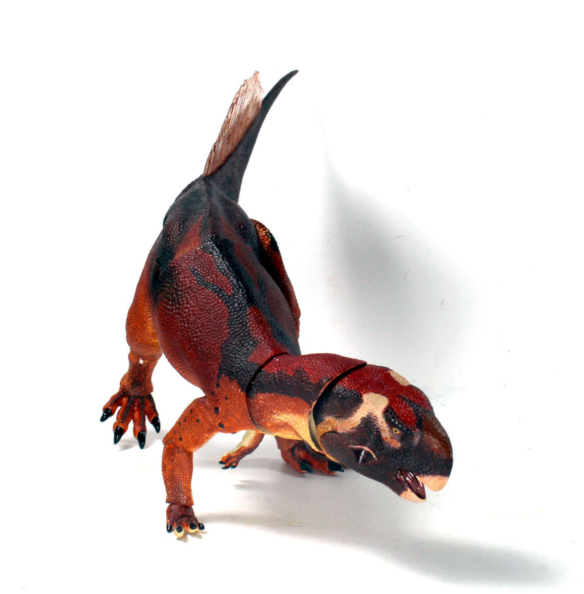 psittacosaurus3