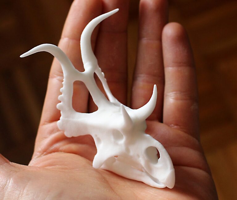I posted recently about the new additions to the Creative Beast Studio Shapeways store- 1/18th skulls for Diabloceratops, Kosmoceratops, Regaliceratops, and Sinoceratops. Here’s a look at the print samples I received- they turned out great!