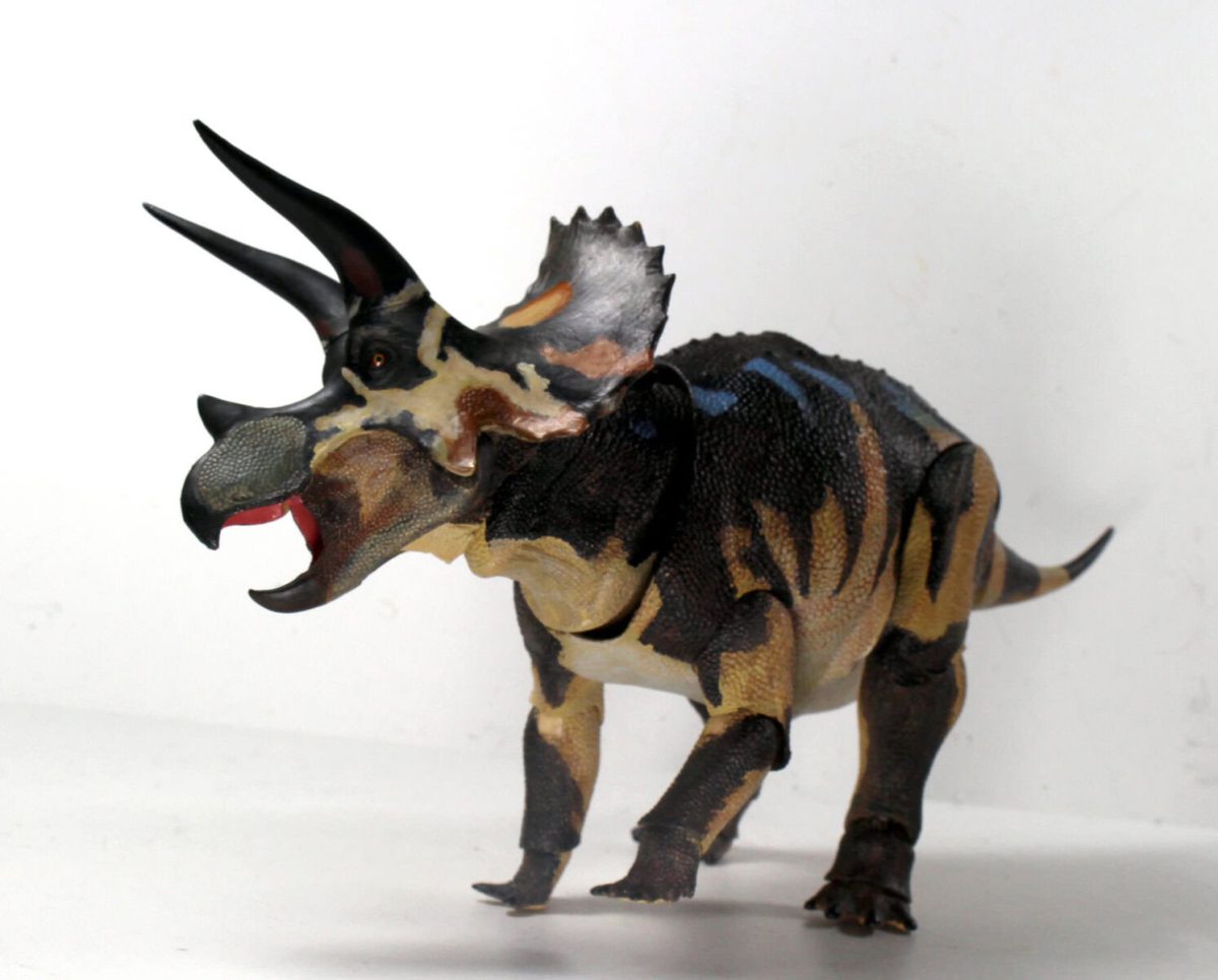 triceratops-horridus14