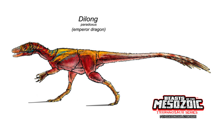 It’s finally time for another Beasts of the Mesozoic: Tyrannosaur Series color design reveal, and it’s probably the most colorful one so far. Here’s the first look at the action figure design for the 1/6th scale Dilong paradoxus!