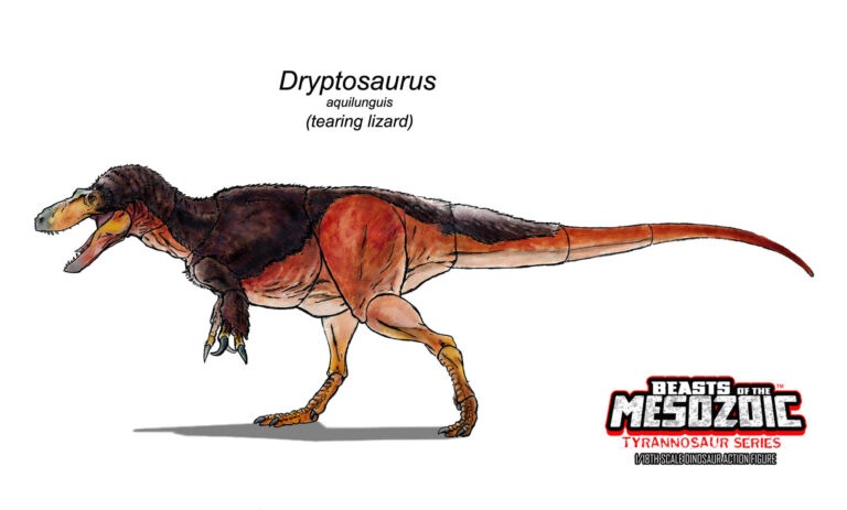 Color design for the Dryptosaurus aquilunguis!