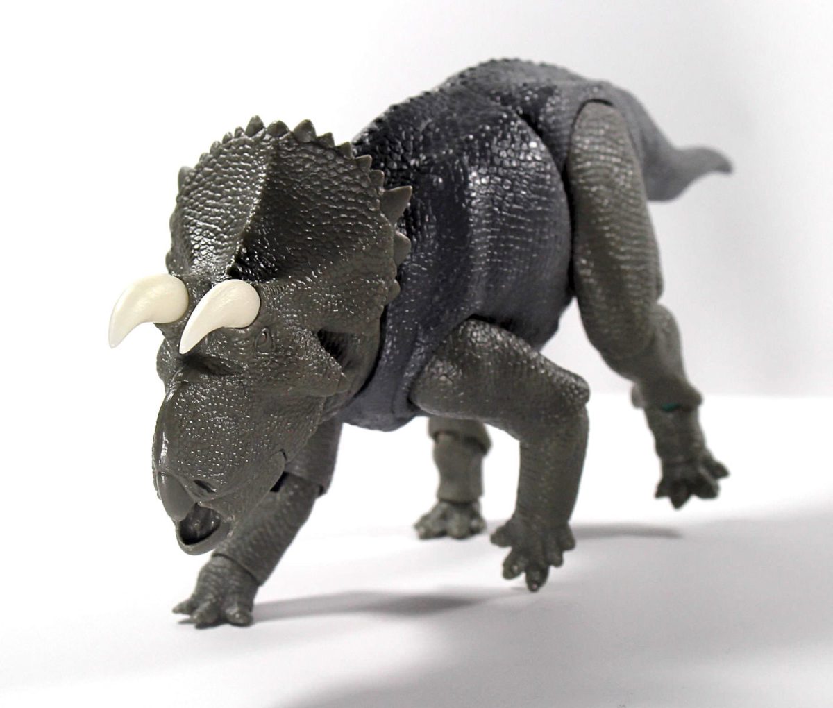 Avaceratops10