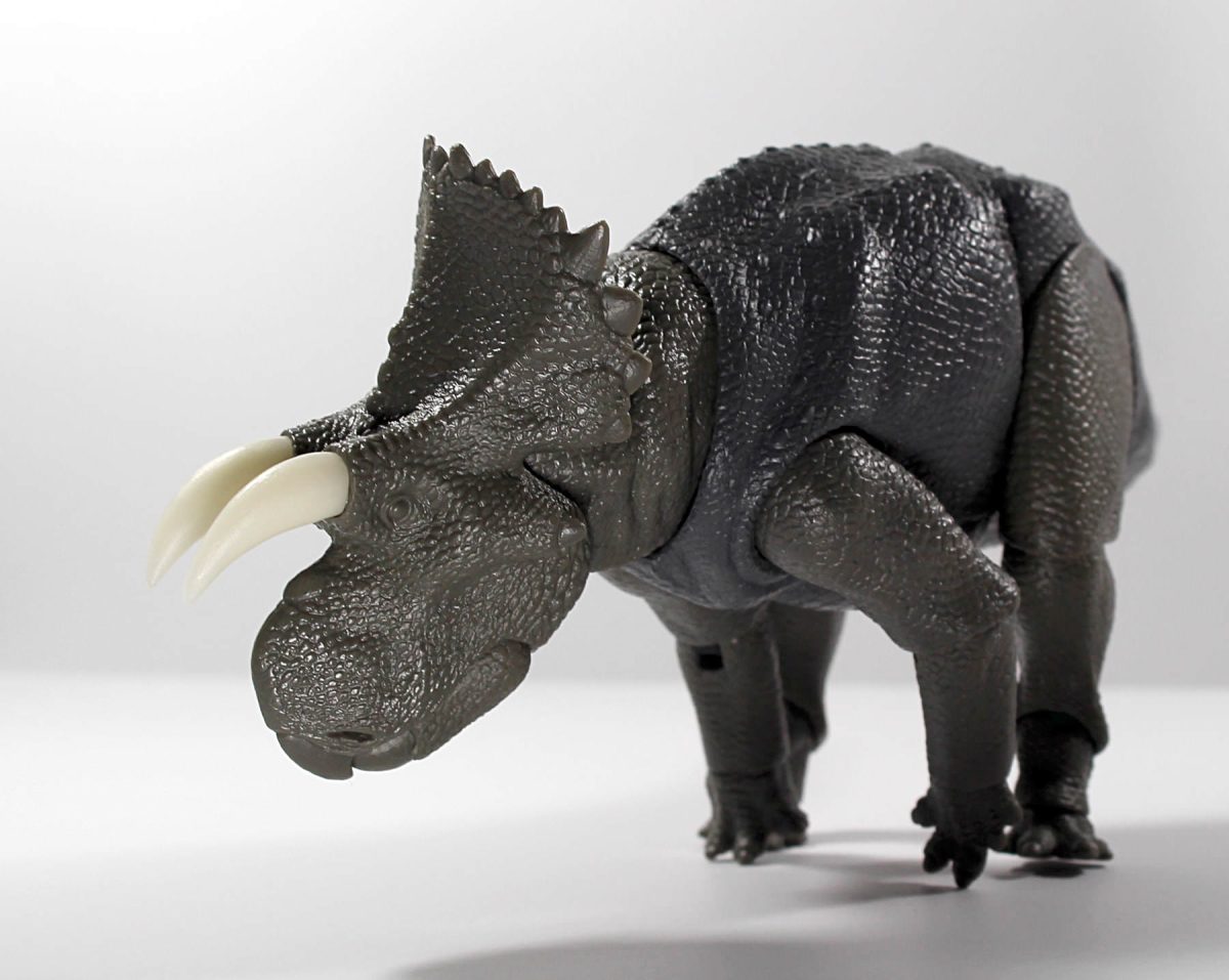 Avaceratops4