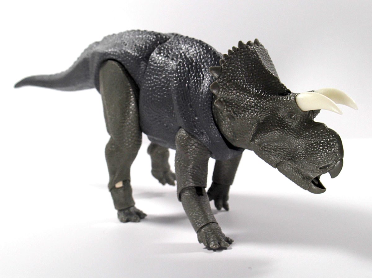 Avaceratops9