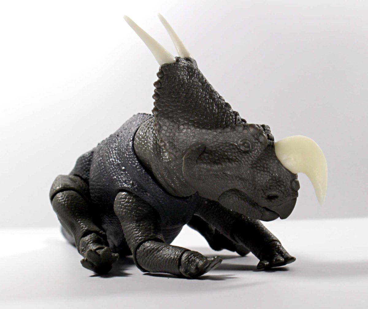 Einiosaurus10