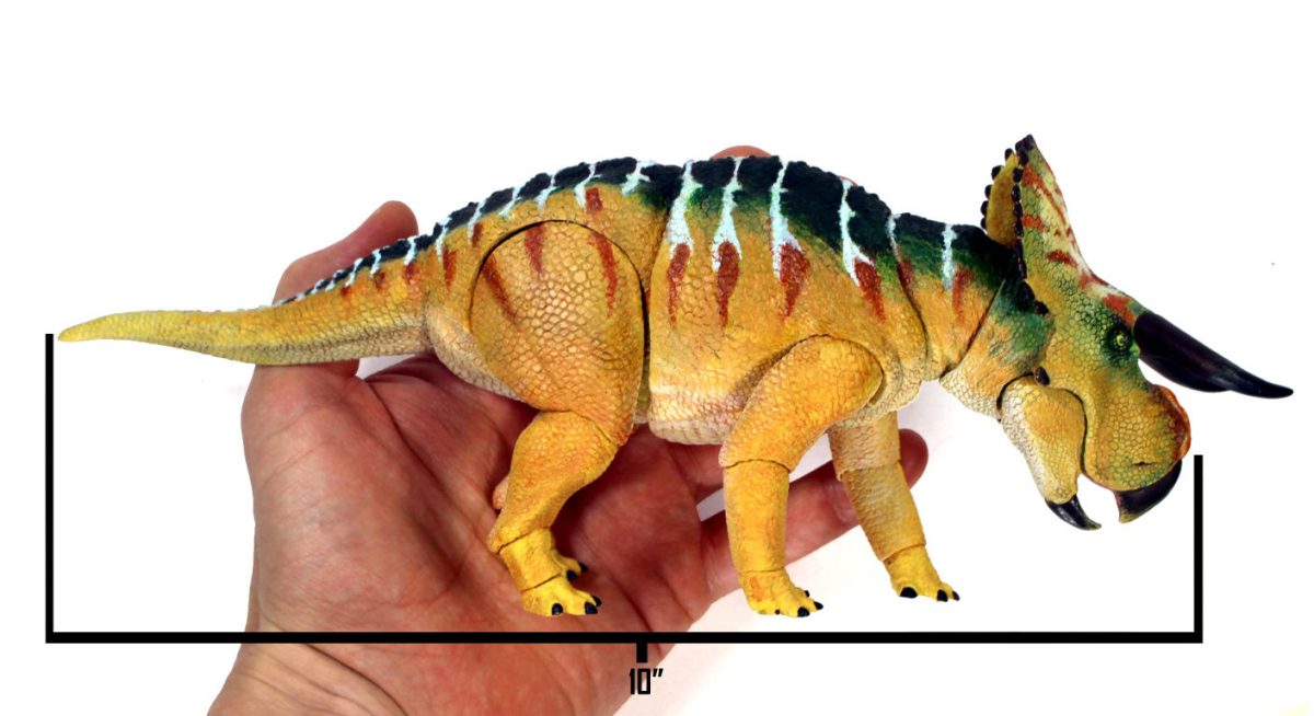 nas size