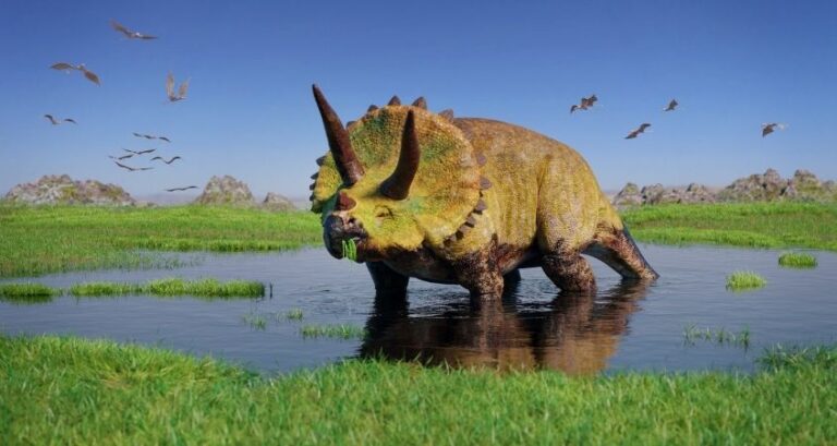 Fascinating Facts About Triceratops