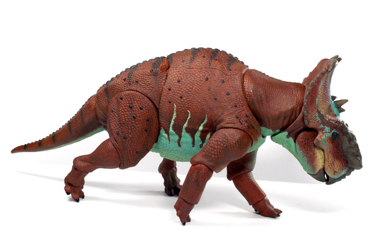 Pachyrhinosaurus11