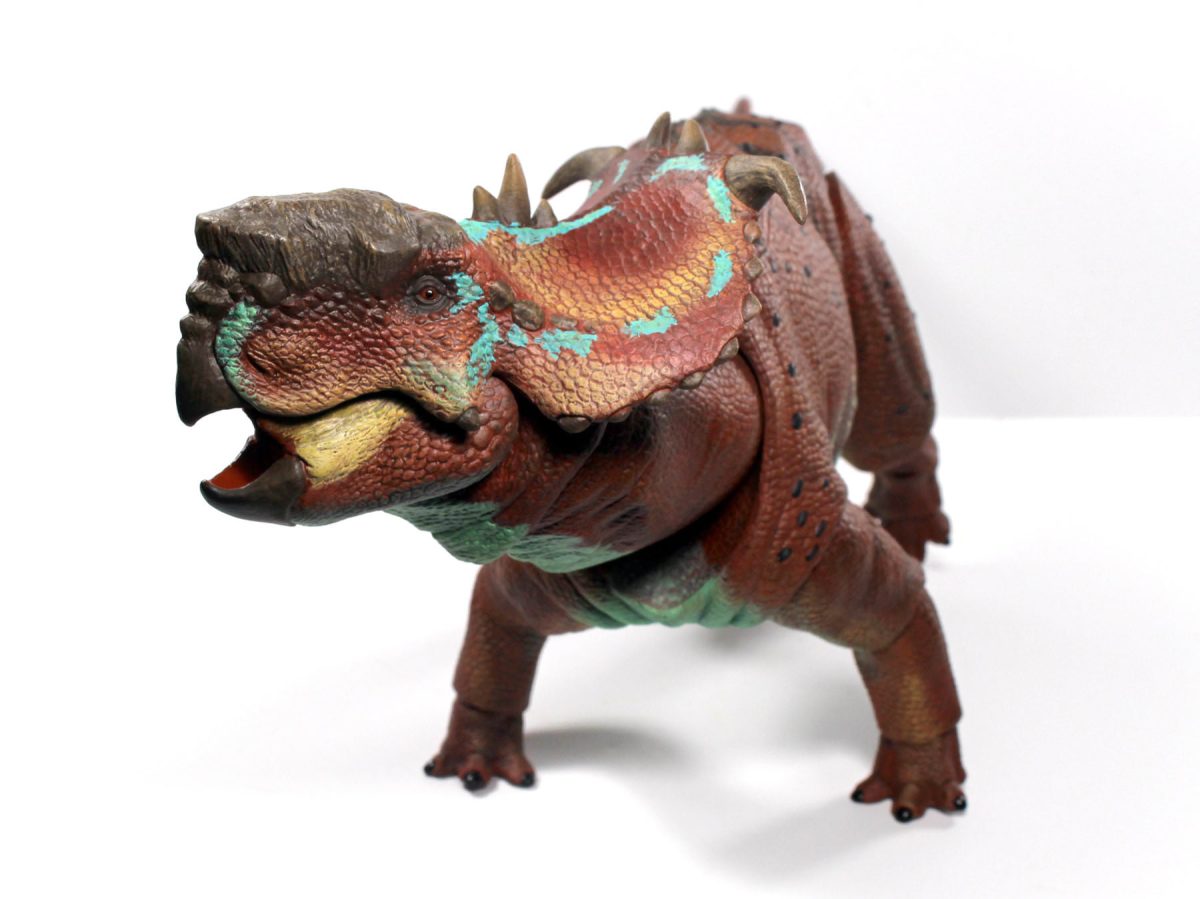 Pachyrhinosaurus5