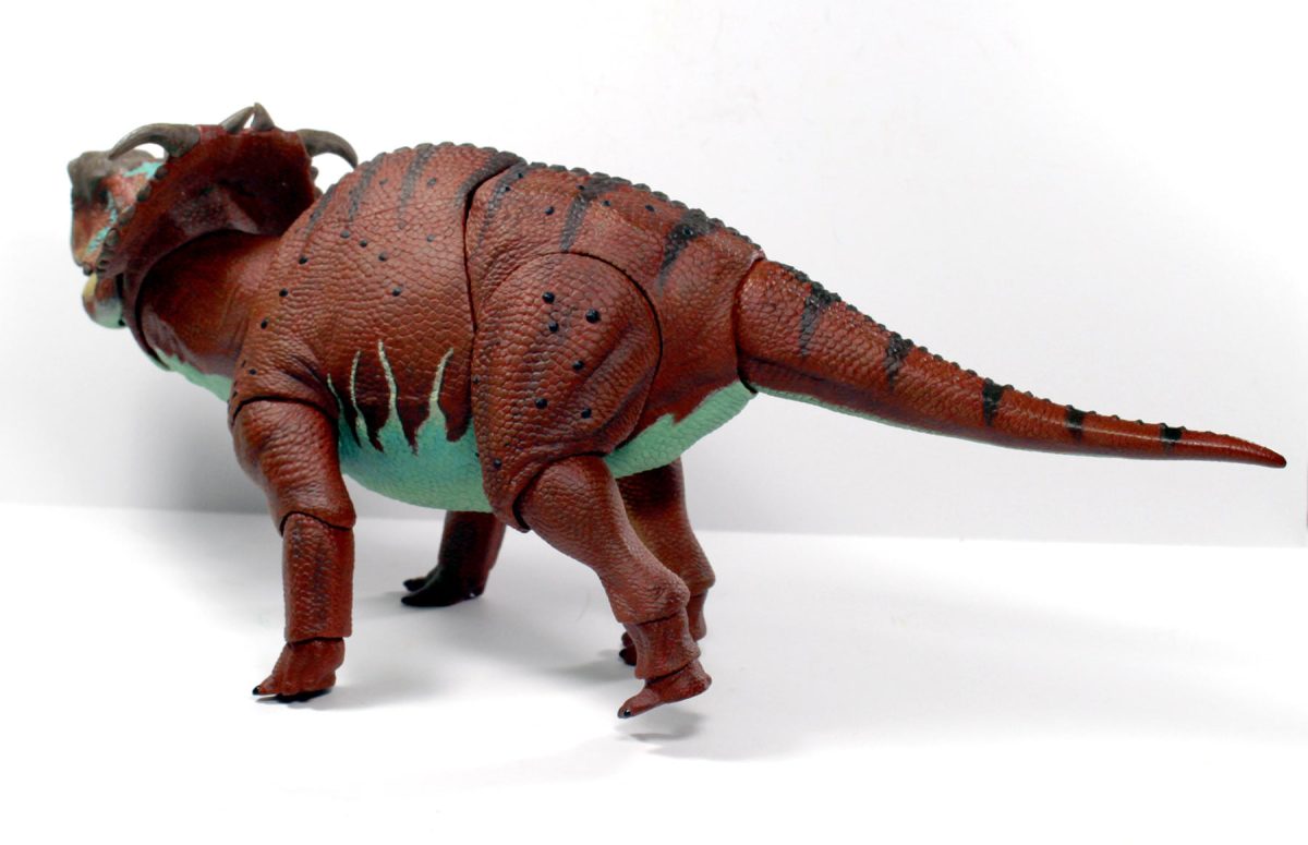 Pachyrhinosaurus6