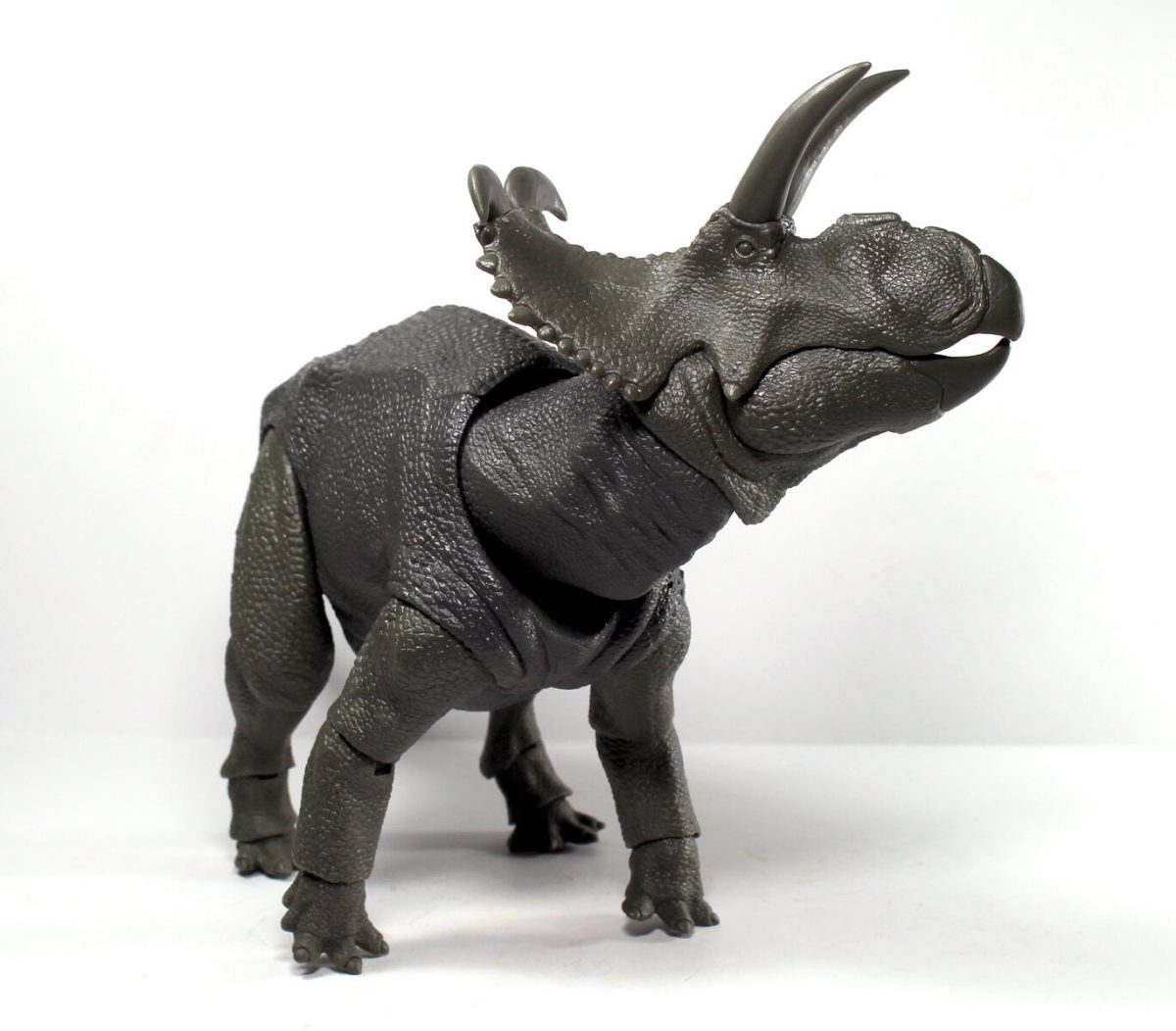 Albertaceratops4