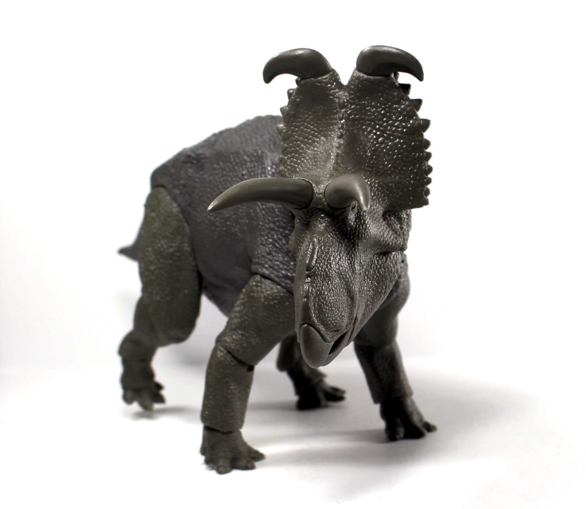 Albertaceratops6