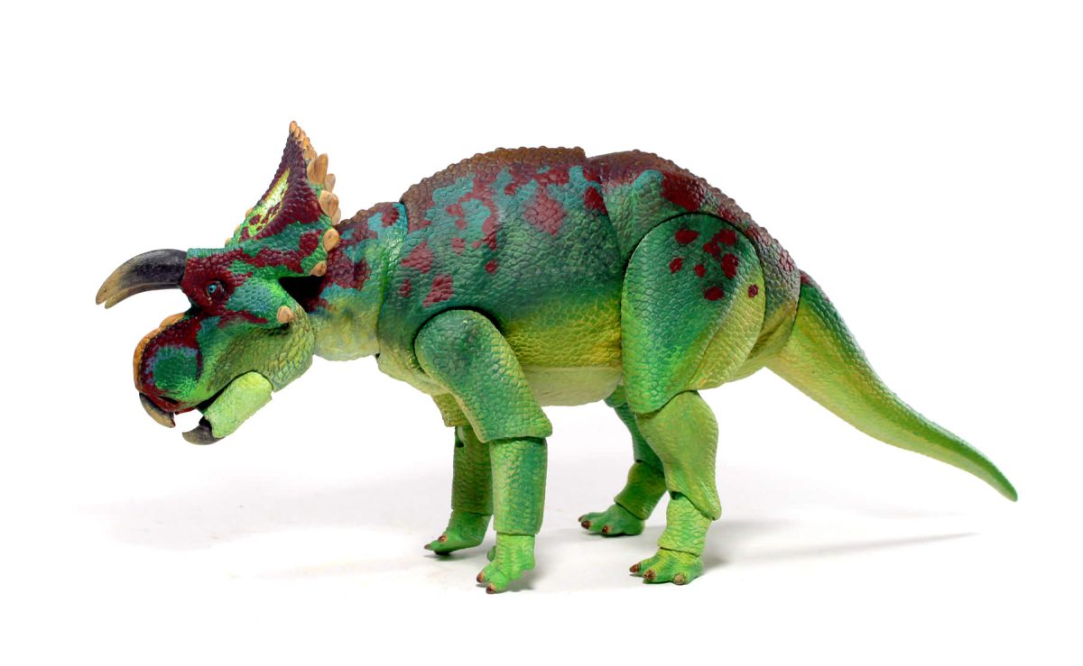 Avaceratops11