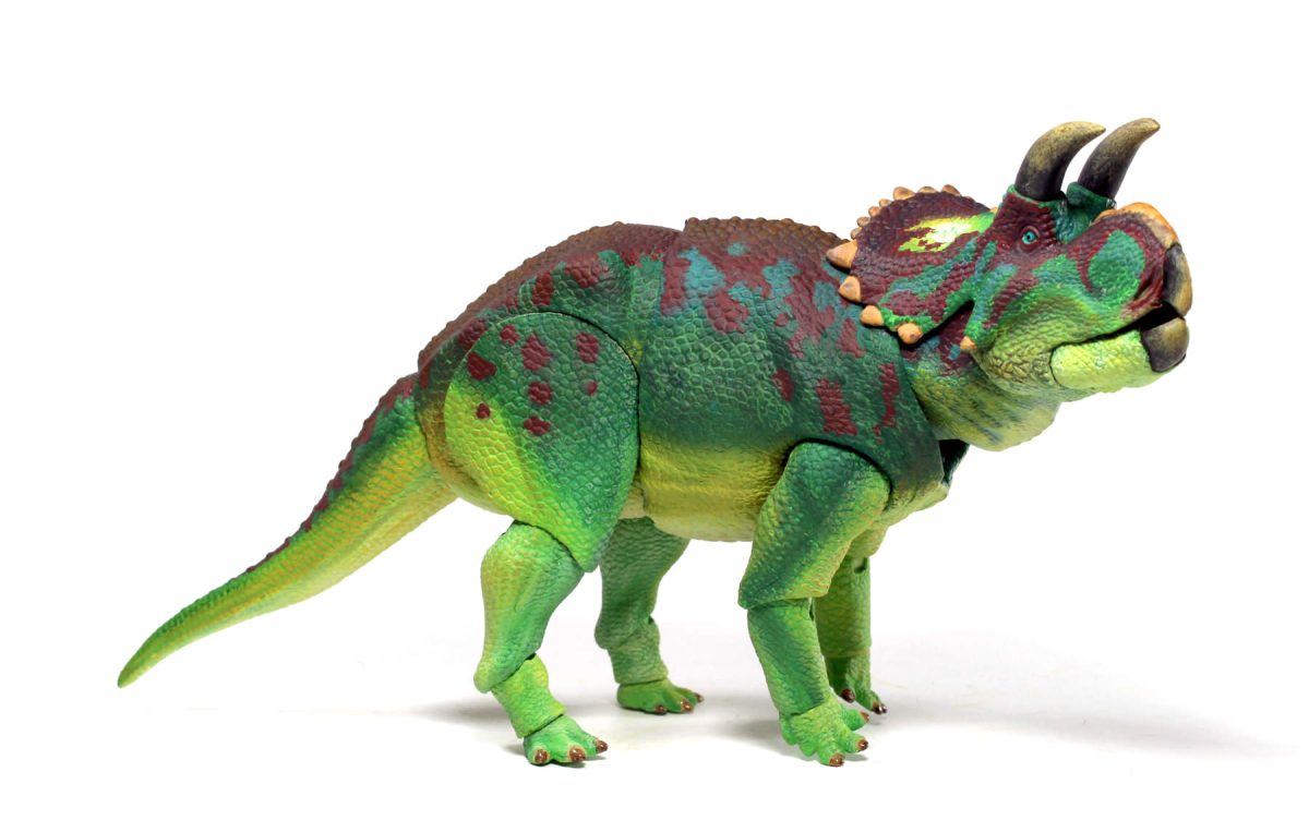 Avaceratops8