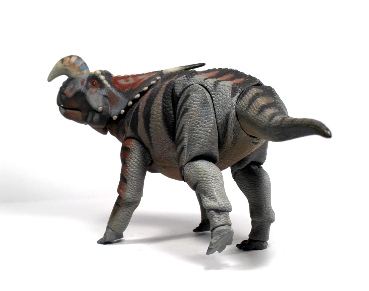 Einiosaurus11