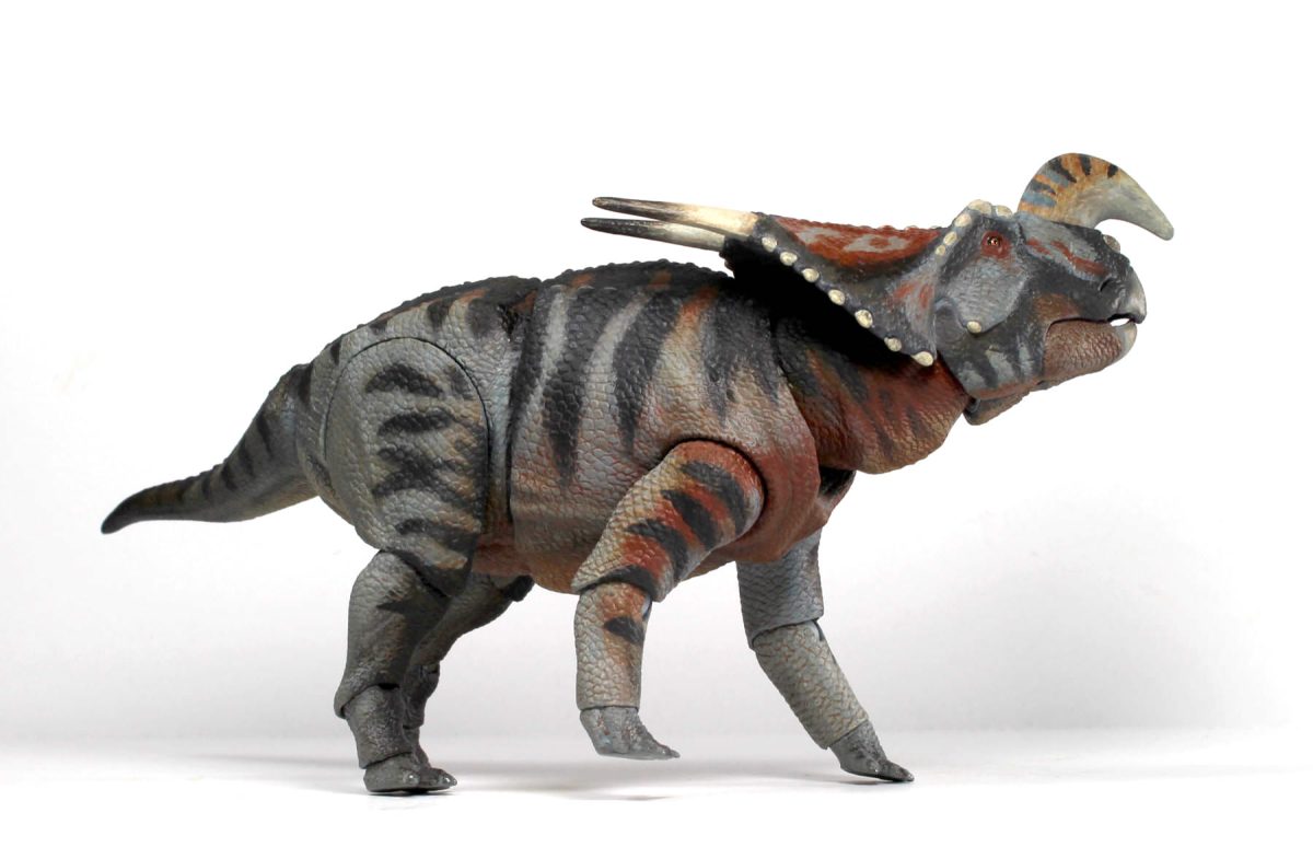 Einiosaurus12