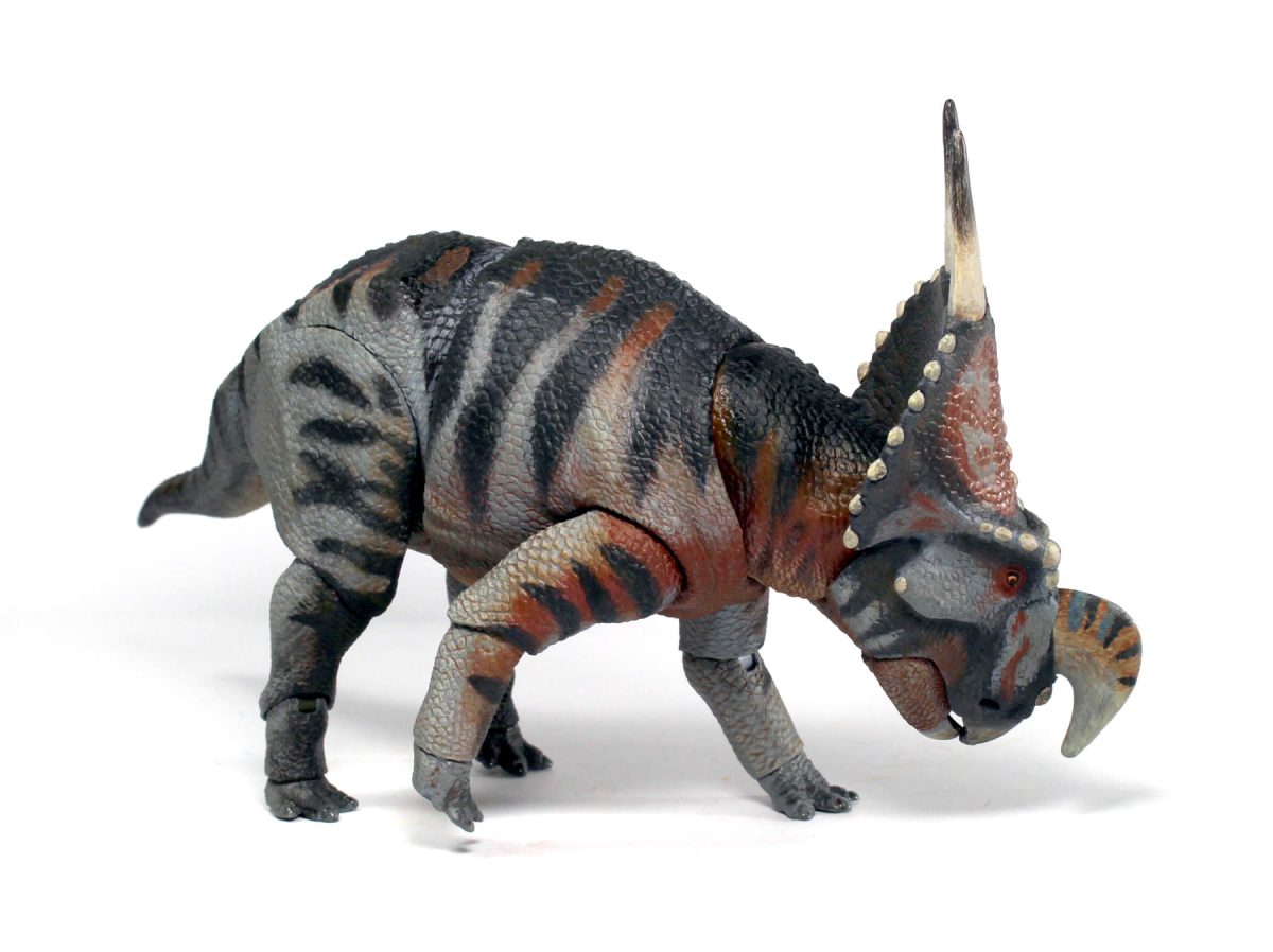 Einiosaurus4