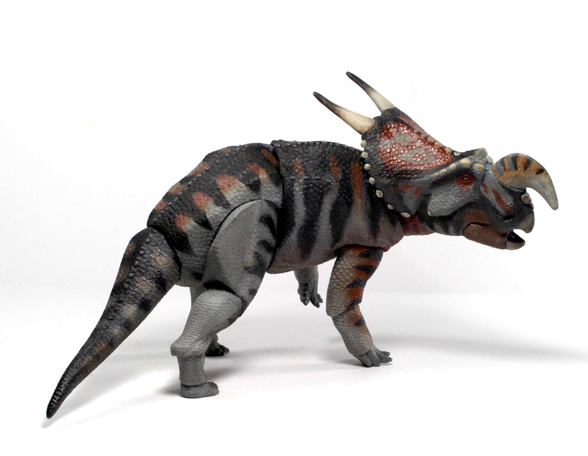 Einiosaurus5