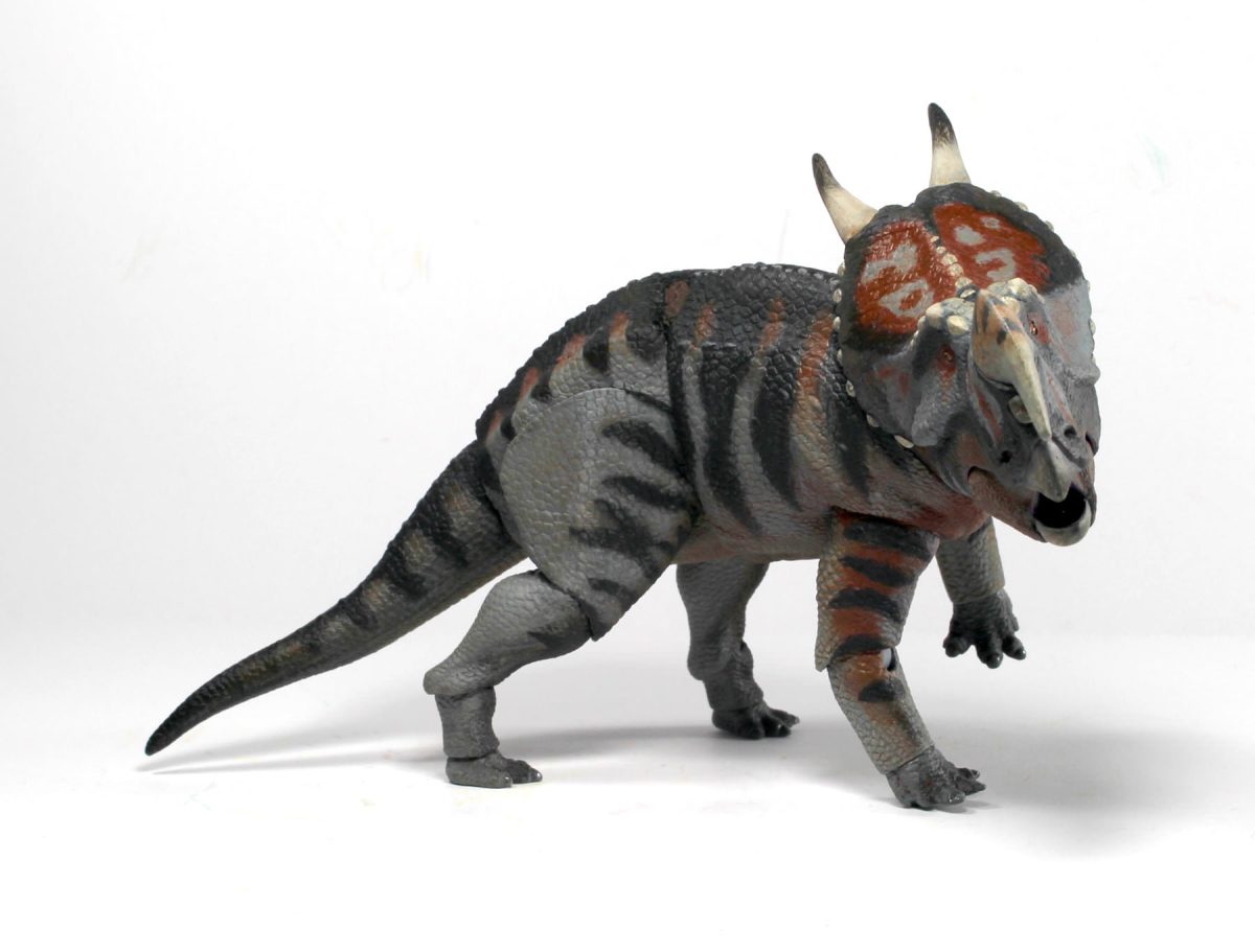 Einiosaurus6
