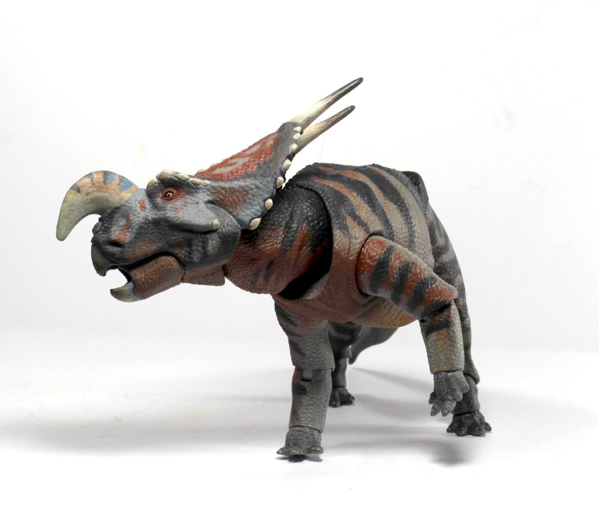 Einiosaurus7