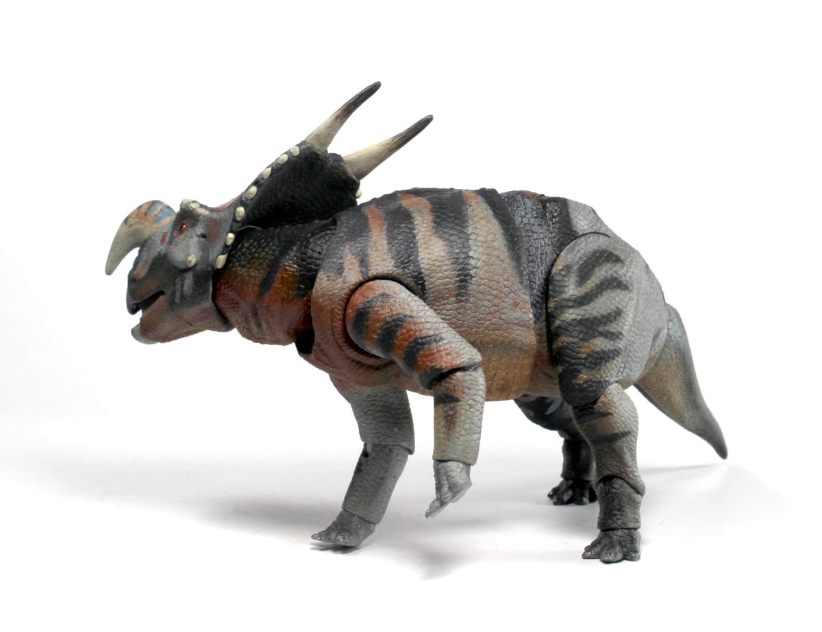 Einiosaurus8