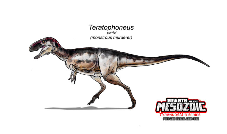 Color designs for Teratophoneus curriei!