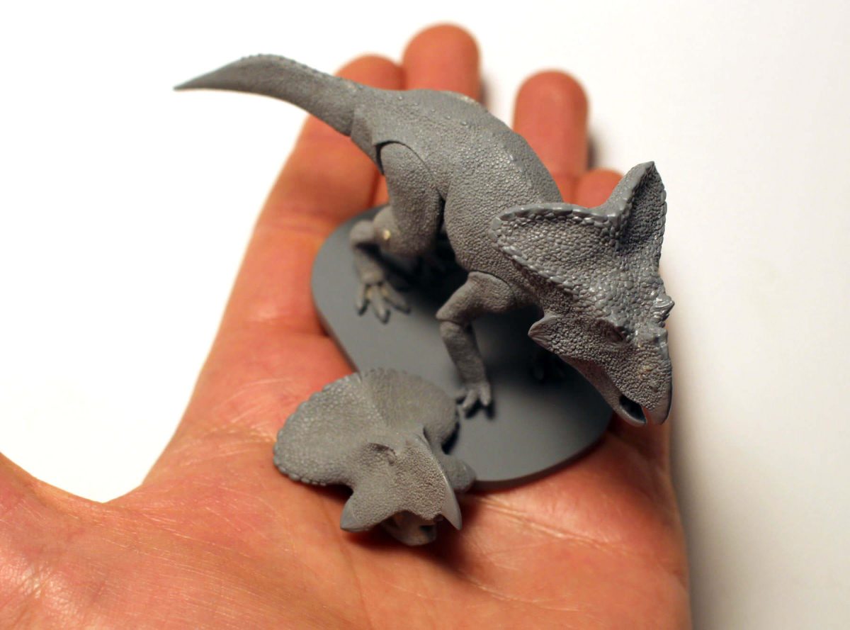 hellenikorhinus5