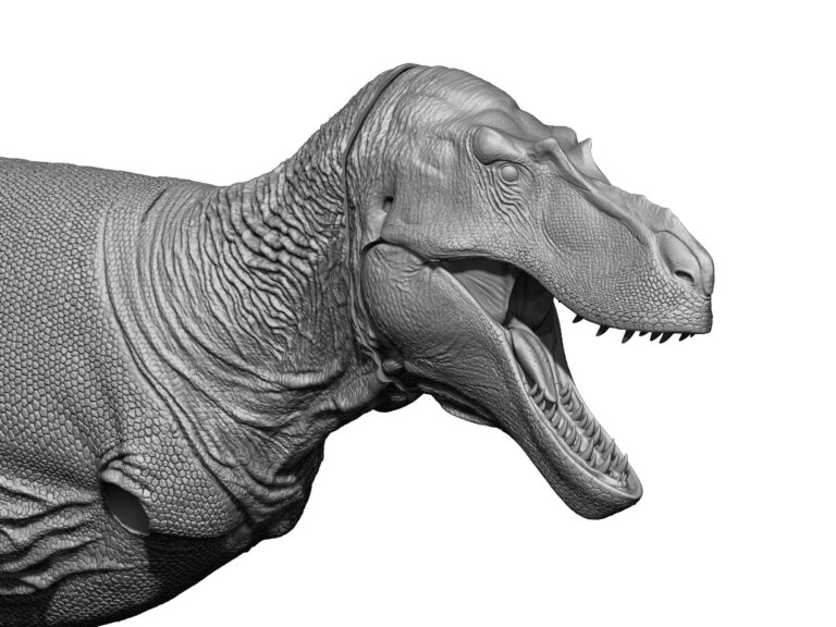 Gorgosaurus protoype!