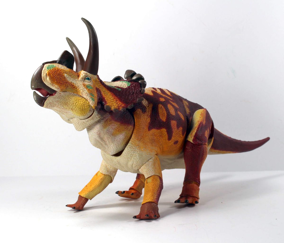 Wendiceratops10