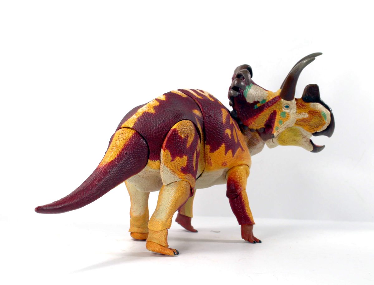 Wendiceratops5