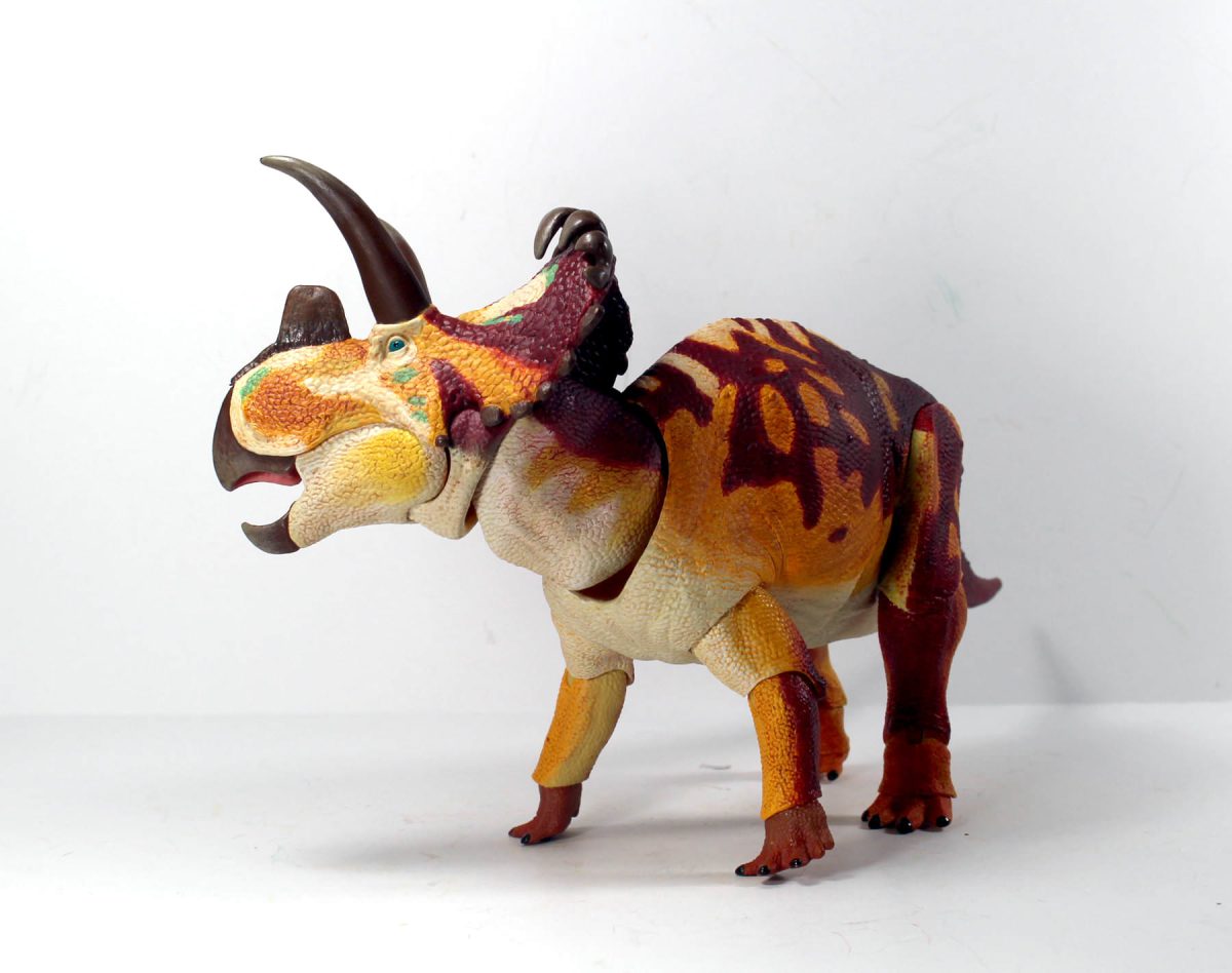 Wendiceratops9
