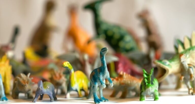 Why You Should Collect What You Love