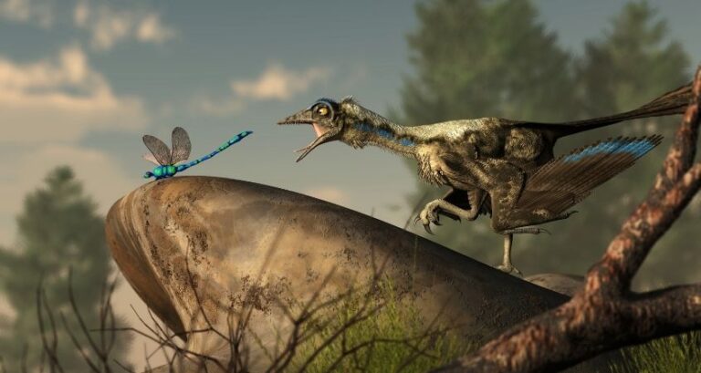 How Dinosaurs Were Similar To Birds