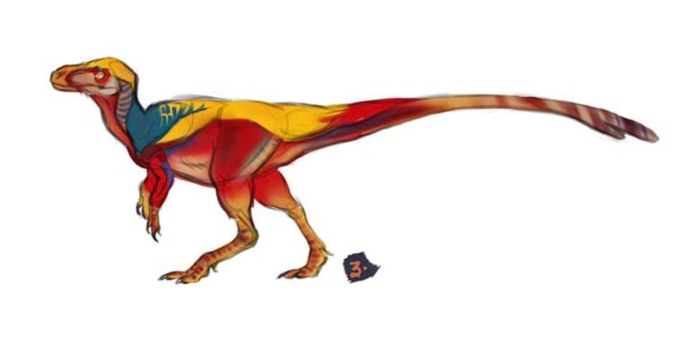 Color design for Dilong revealed!
