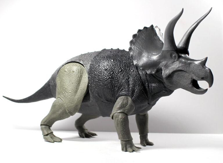 Final test shots of the adult Triceratops horridus!