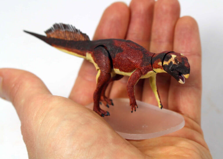 1/18th scale Psittacosaurus mongoliensis!