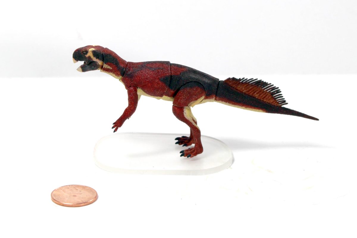 Psittacosaurus3