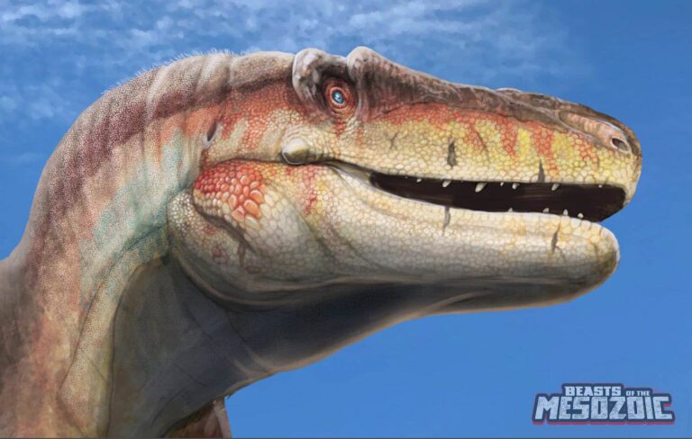 Package art teaser of Daspletosaurus!