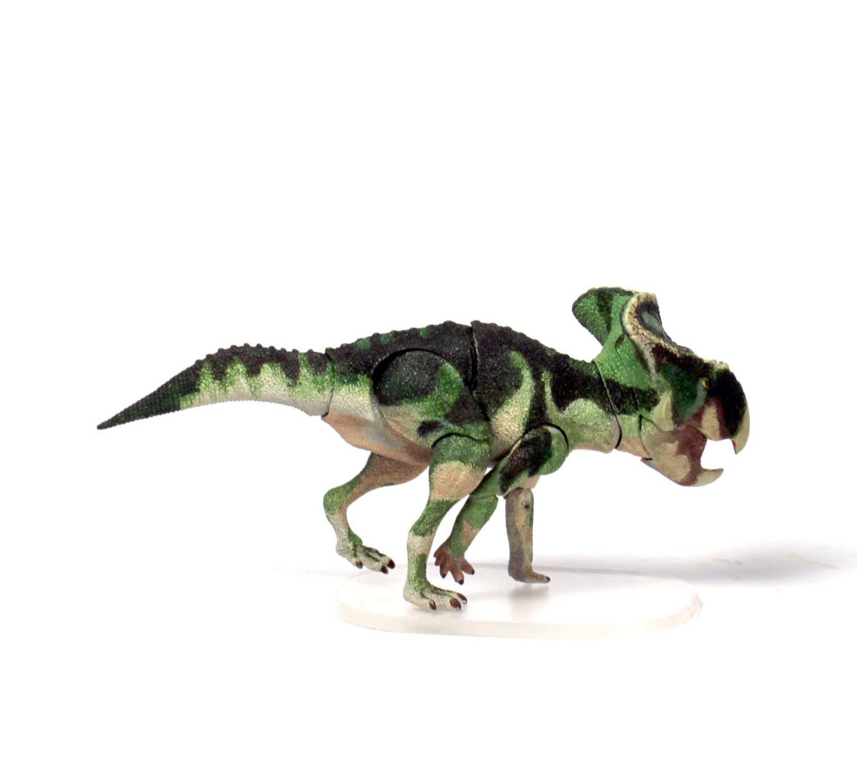 hellenikorhinus!6