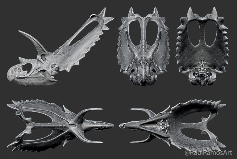 Closer look at Pentaceratops, Wendiceratops, and Spiclypeus!