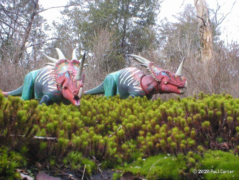 Beasts of the Mesozoic Ceratopsians, courtesy of Paul Carter