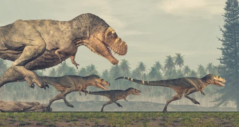 Top Myths and Misconceptions About Dinosaurs Top Myths and Misconceptions About Dinosaurs