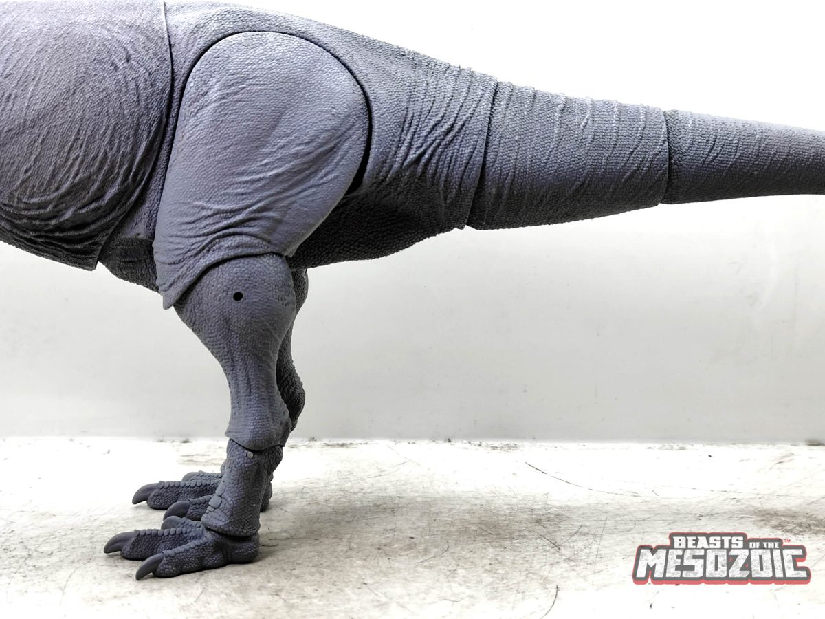 fine-cut-trex7