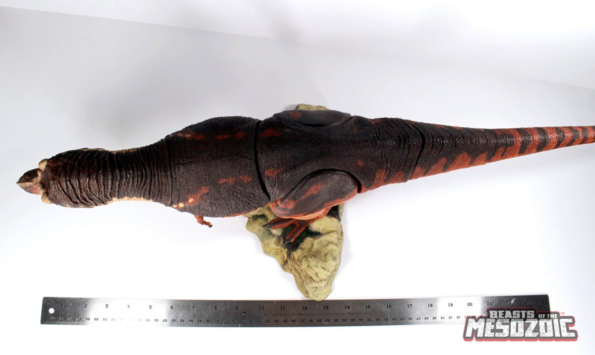 newtrex24